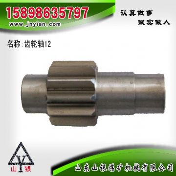 點(diǎn)擊查看詳細(xì)信息<br>標(biāo)題：齒輪軸12 江陰系列配件 閱讀次數(shù)：2159