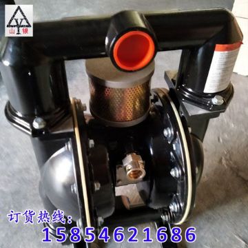 點擊查看詳細信息<br>標(biāo)題：氣動隔膜泵制造銷售售后氣動隔膜泵一條龍服務(wù) 閱讀次數(shù)：1593