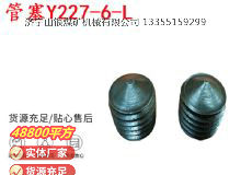 點(diǎn)擊查看詳細(xì)信息<br>標(biāo)題：英格索蘭隔膜泵配件管塞Y227-6-L 閱讀次數(shù)：285
