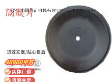 點擊查看詳細信息<br>標題：氣動隔膜泵配件-隔膜片 閱讀次數(shù)：226