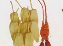 點擊查看詳細(xì)信息<br>標(biāo)題：取氣樣球膽 閱讀次數(shù)：143